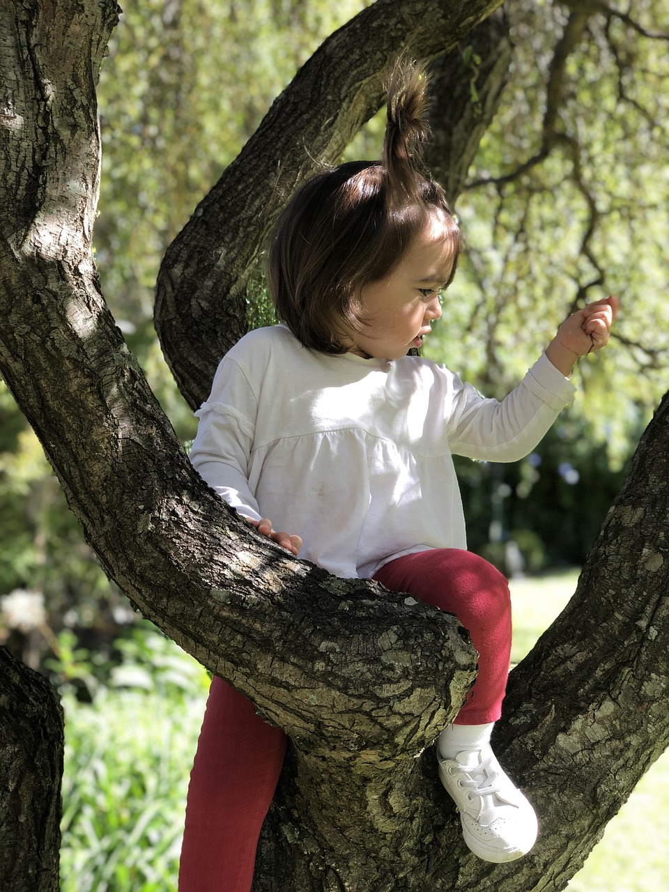 children exploring nature